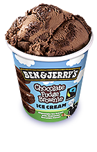 Chocolate Fudge Brownie